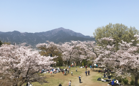 弘法山公園